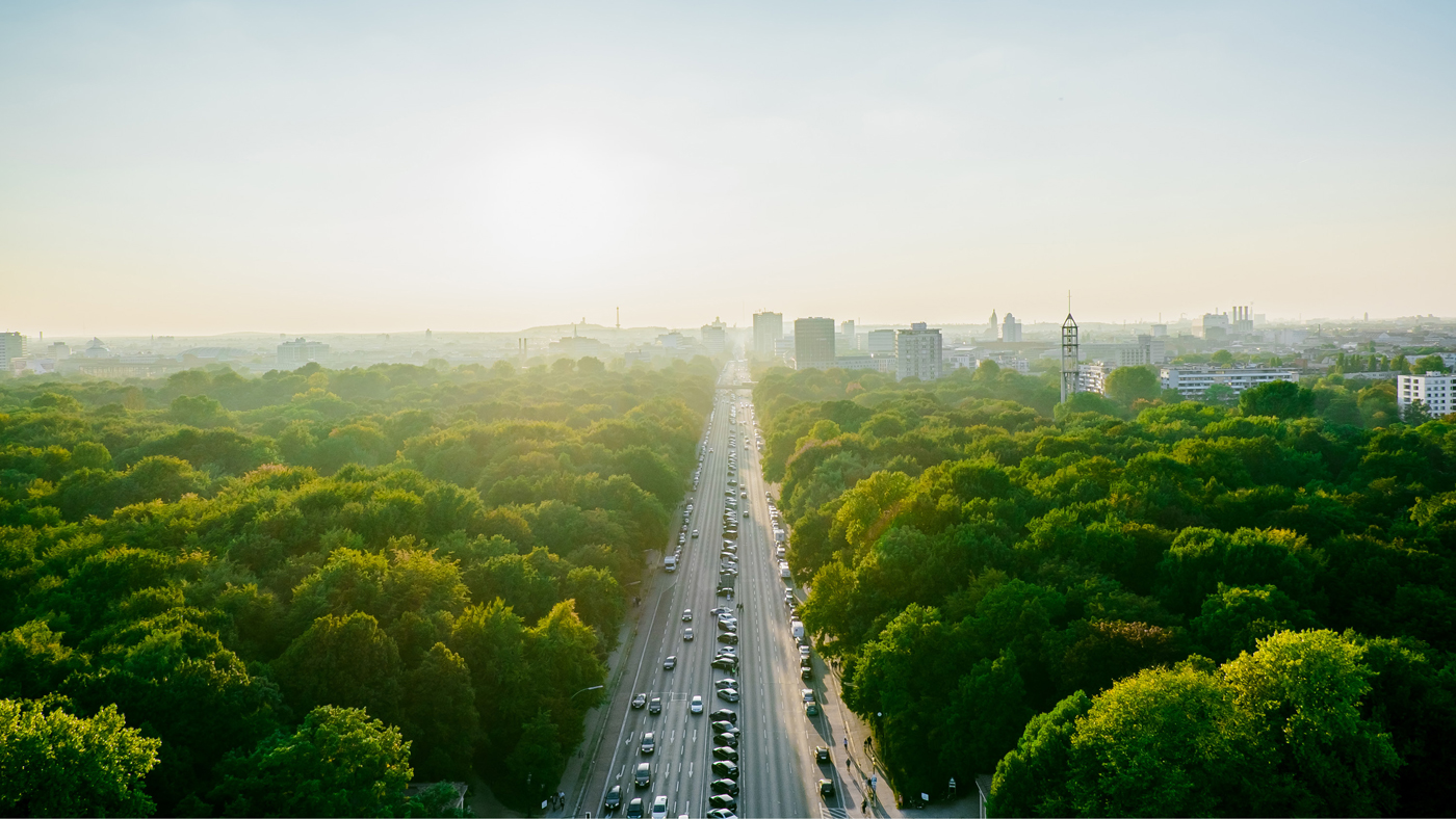 A tree-lined road seen from above at sunset